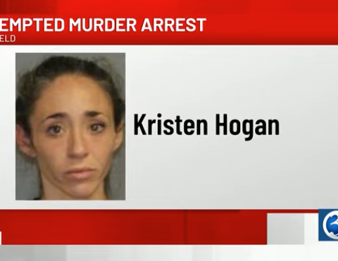 Connecticut woman Kristen Hogan's mugshot
